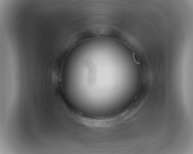 X0000111350040200907101219