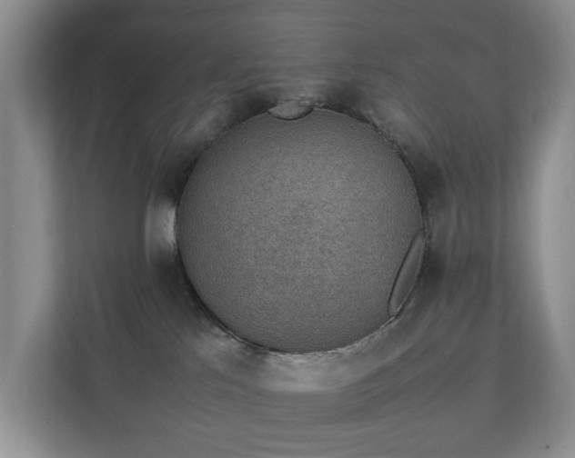 X0000111350041200907101219