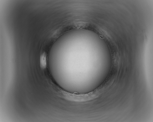 X0000111350042200907101219