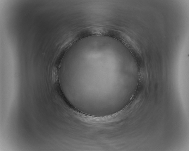 X0000111350043200907101219