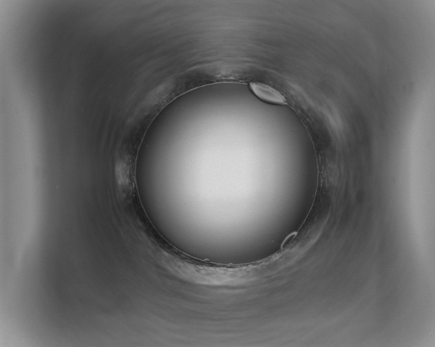 X0000111350044200907101219