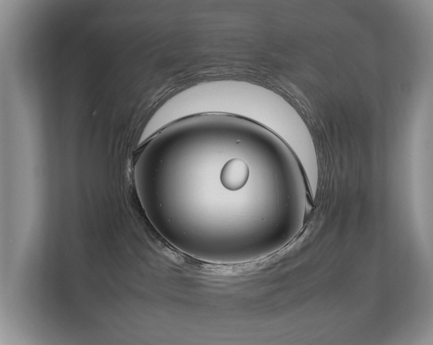 X0000111350045200907101219