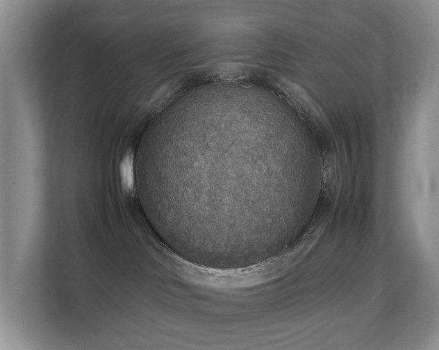 X0000111350046200907101219