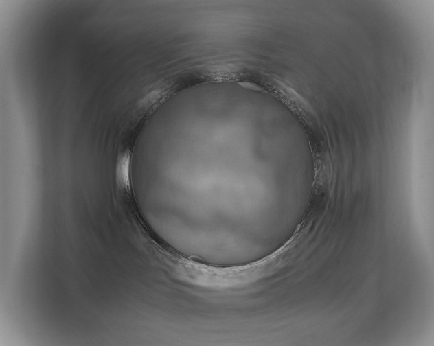 X0000111350047200907101219