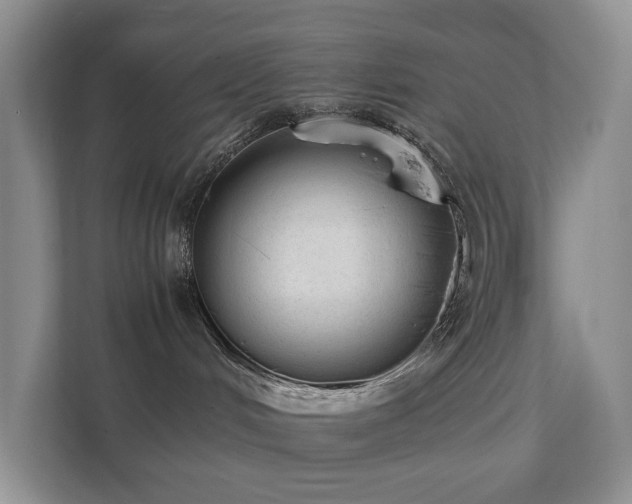 X0000111350048200907101219