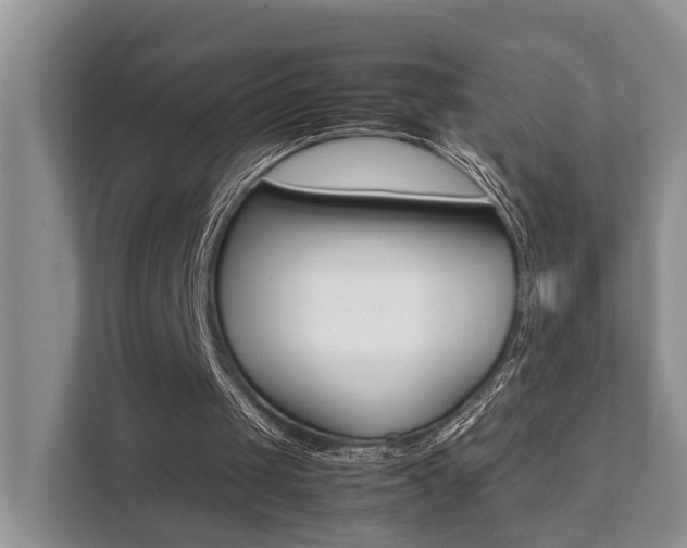 X0000111350049200907101218