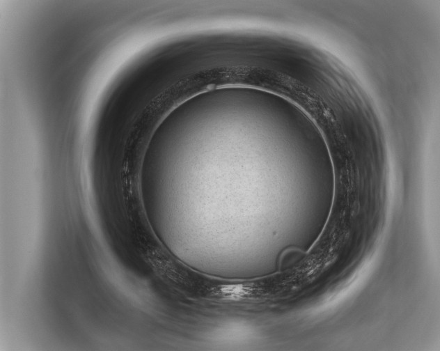 X0000111350050200907101218