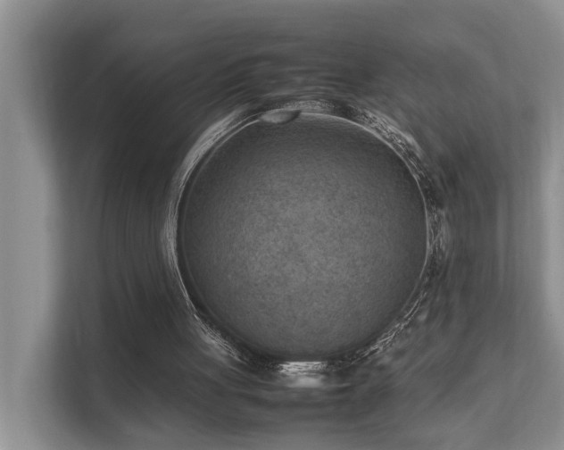 X0000111350051200907101218