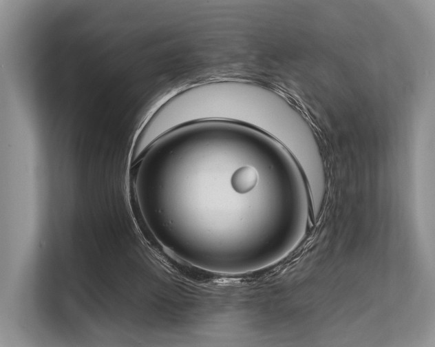 X0000111350052200907101218