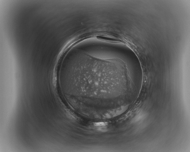 X0000111350053200907101218