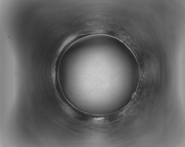 X0000111350054200907101218