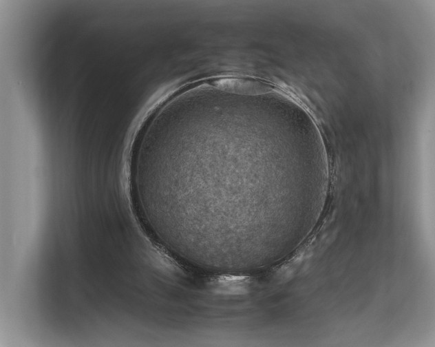 X0000111350055200907101218