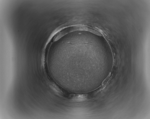 X0000111350056200907101218