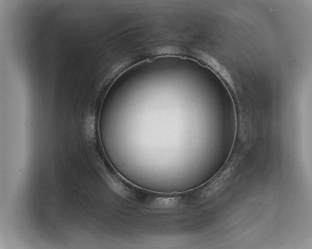 X0000111350057200907101218