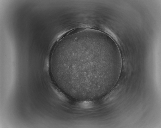 X0000111350059200907101218