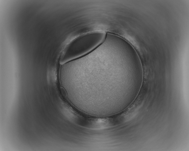 X0000111350060200907101218