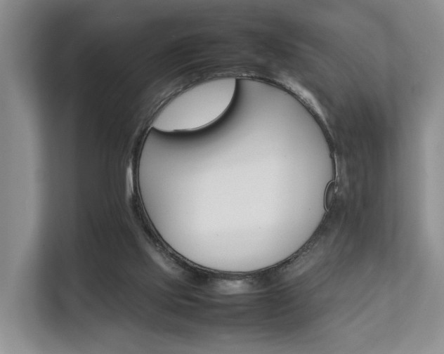 X0000111350061200907101218