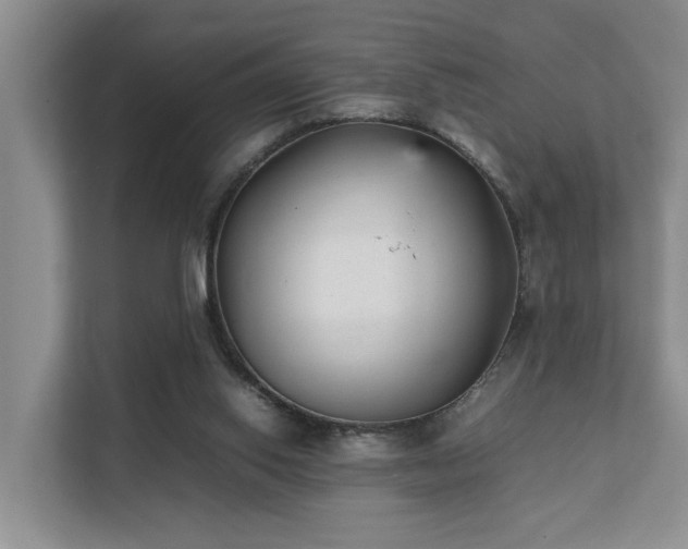 X0000111350062200907101218