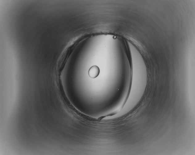 X0000111350064200907101218