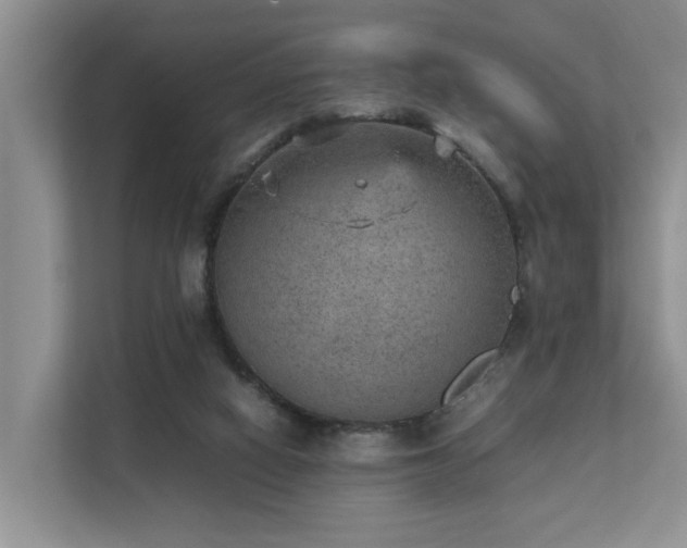 X0000111350066200907101218