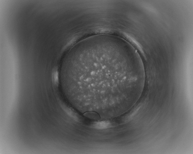 X0000111350067200907101218