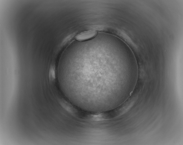 X0000111350068200907101219