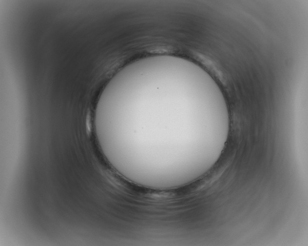 X0000111350069200907101219