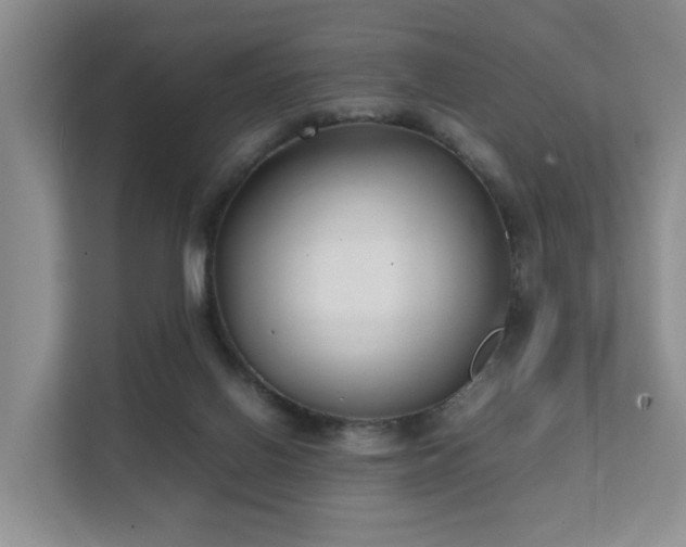 X0000111350070200907101219