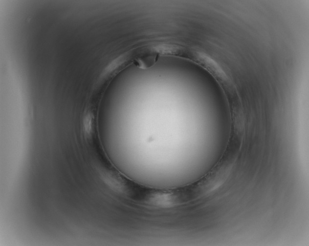 X0000111350071200907101219