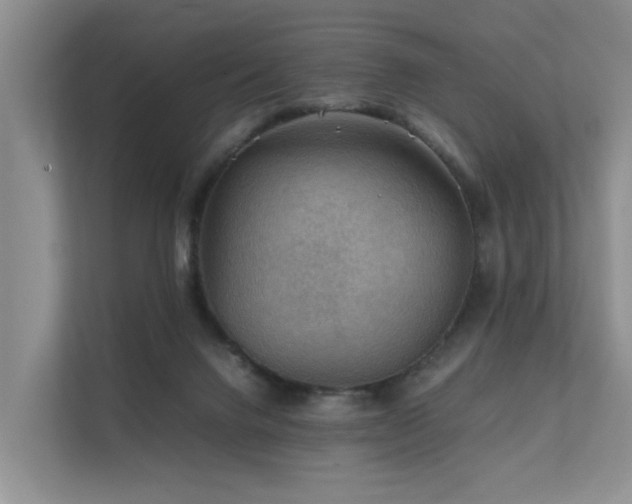 X0000111350072200907101219