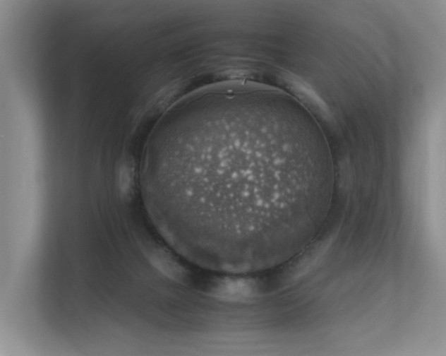 X0000111350073200907101219