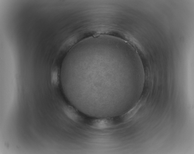 X0000111350074200907101219