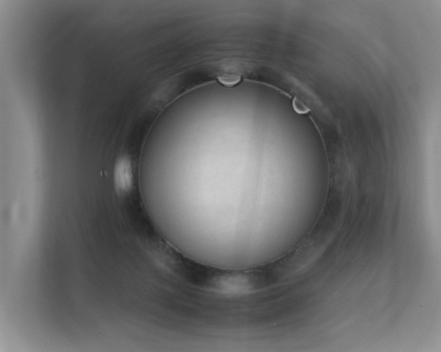 X0000111350075200907101219