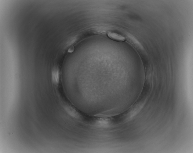 X0000111350076200907101219