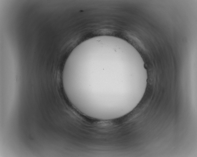 X0000111350077200907101219