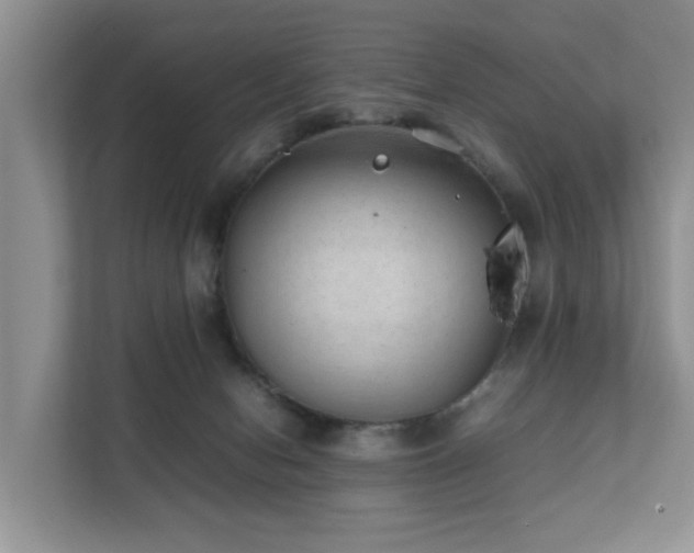 X0000111350078200907101219