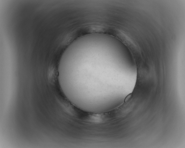 X0000111350079200907101219