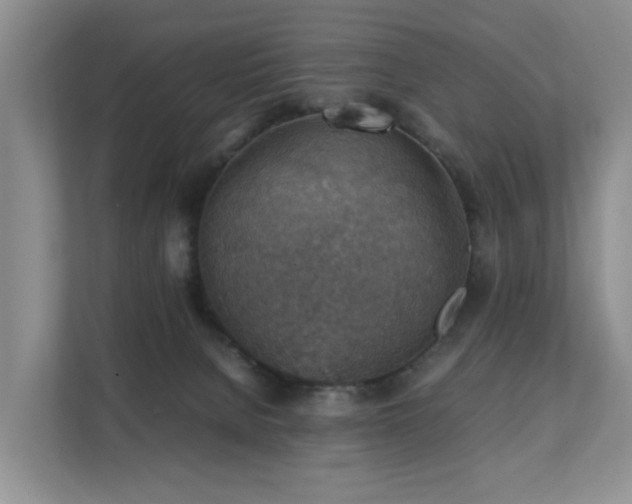 X0000111350080200907101219