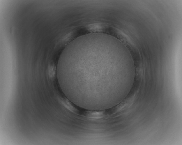 X0000111350081200907101219