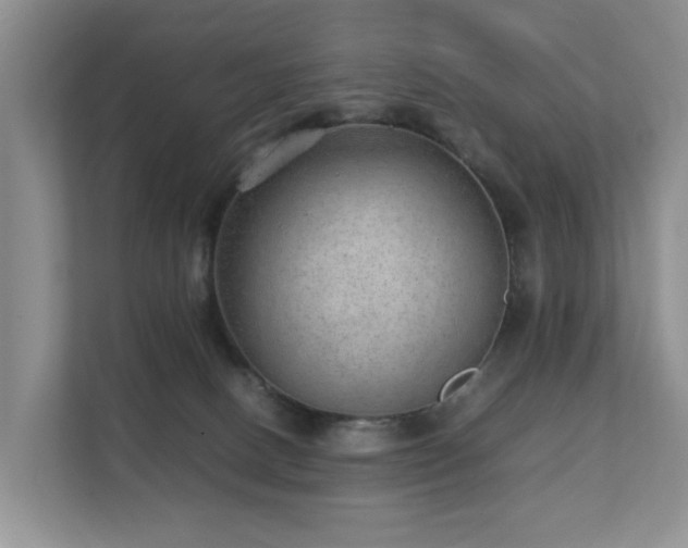 X0000111350082200907101219