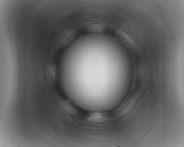 X0000111350083200907101219