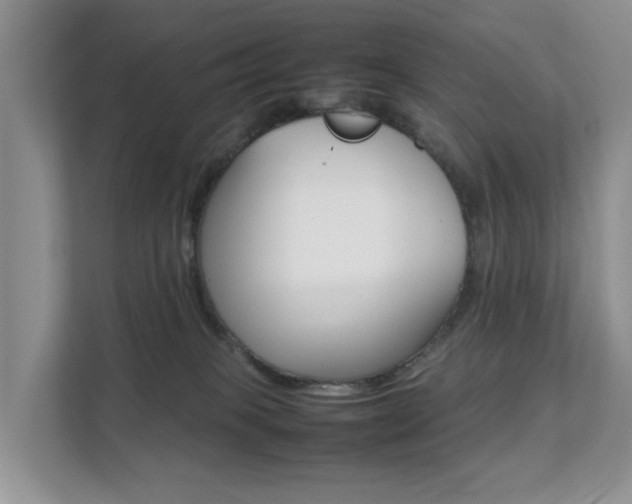 X0000111350085200907101219