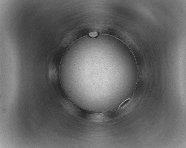 X0000111350086200907101219