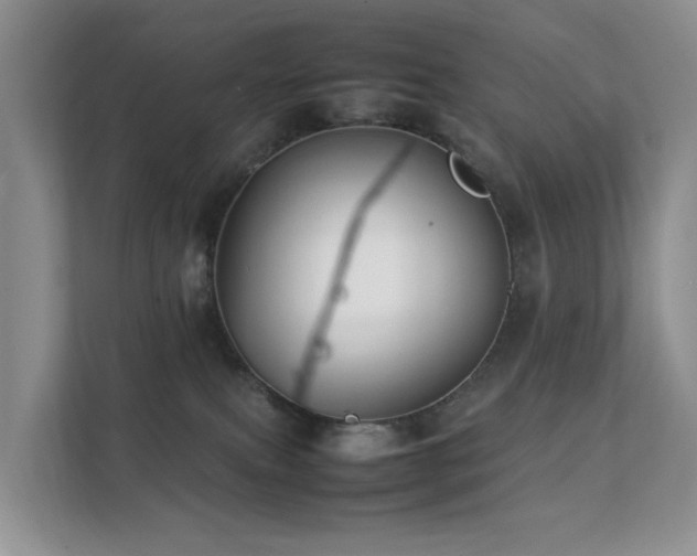 X0000111350087200907101219