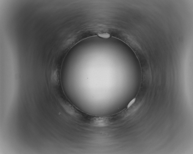 X0000111350088200907101219