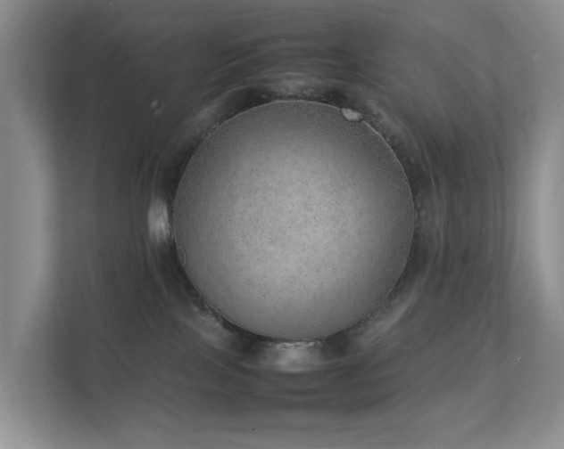 X0000111350089200907101219