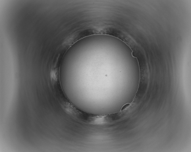 X0000111350090200907101219