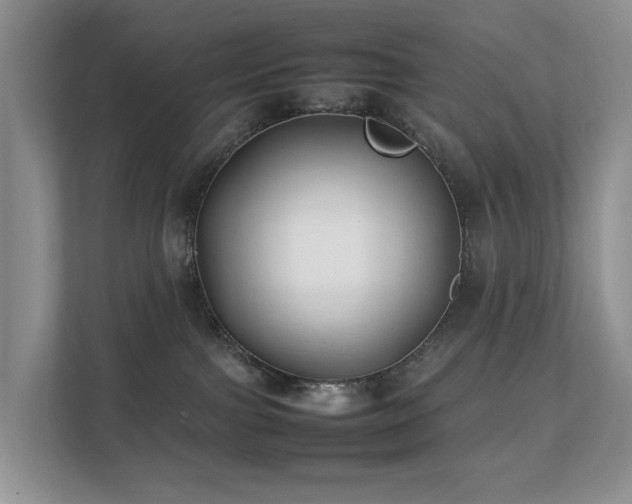 X0000111350091200907101219