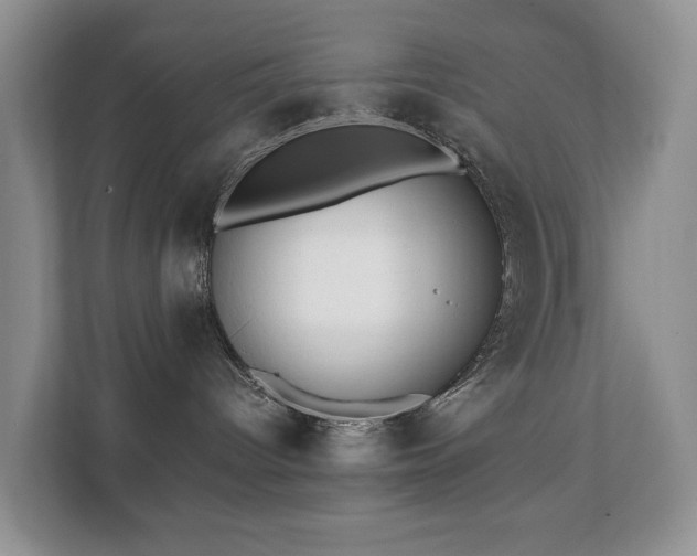 X0000111350096200907101219