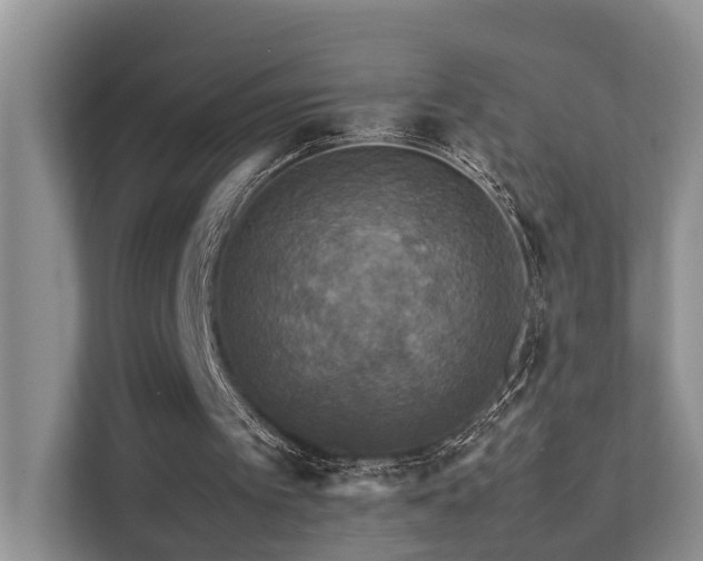 X0000111350097200907101218